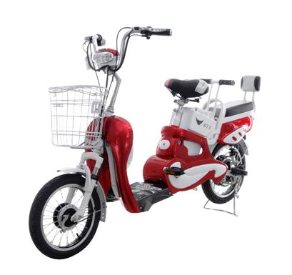 Florida Powersports | Mopeds | Electric & Gas Bikes | St. Petersburg